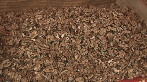 Unshelled Walnuts Stock Footage 45153642