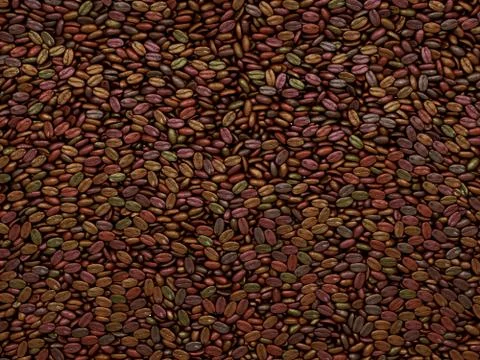 Unsorted coffee beans texture or background Illustrazione stock