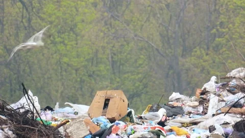Unsorted outdoor trash. Garbage backgrou... | Stock Video | Pond5