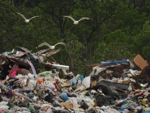 Unsorted trash background. City dump. Landfill. Social problems. Stock Photos