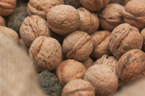 Unsorted walnuts in canvas bag Stock Photos