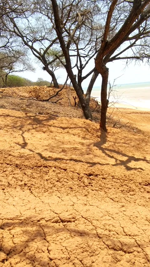 The unspoiled atmosphere of Sowan Beach Stock Footage 287793454
