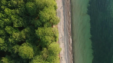 Unspoiled Coastline in Denmark Stock Footage 244858069