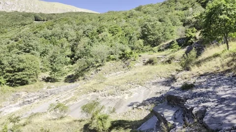 Unspoiled mountain landscape with lush forest 스톡 동영상 345036837