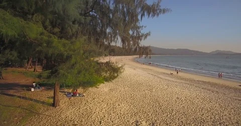 Unspoilt Beach And Pine Trees At Layan, Phuket, Thailand, Aerial Slider Shot Video stock 79333024
