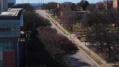UNT Campus Street 스톡 동영상 249646277