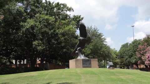UNT Eagle (WS) 스톡 동영상 249646250