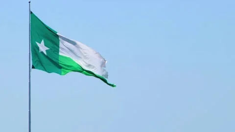 UNT North Texas Flag Stock Footage 249646292