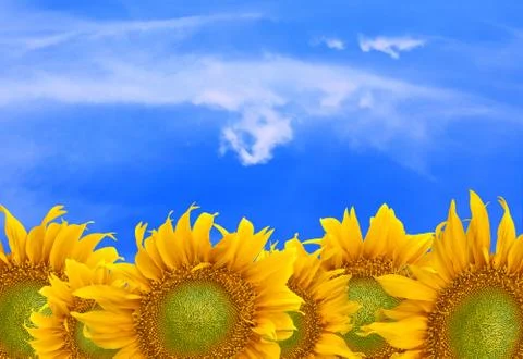 Untitled-3 Stock Photos