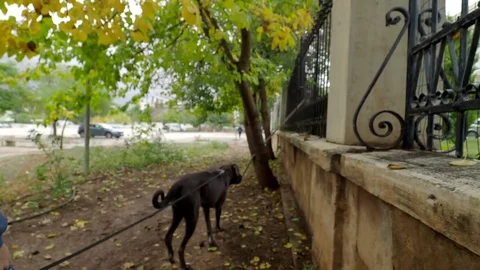 Untitled Stock Footage 82451585