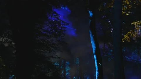 Untitled Stock Footage 156938652