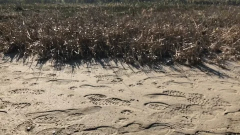 Untitled Project 1 Stock Footage 107828209