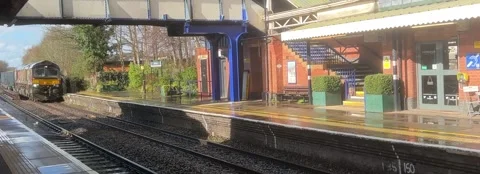 Untitled Project 1 Video stock 246474122