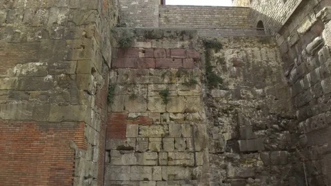 Untitled Project 120 Stock Footage 81509229