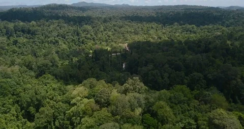 Untitled Project 1flying above river and trees in forest with slow panning down Stock Footage 111300643