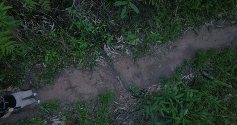 Untitled Project 1two backpackers on a path in forest between trees Stock Footage 111300631