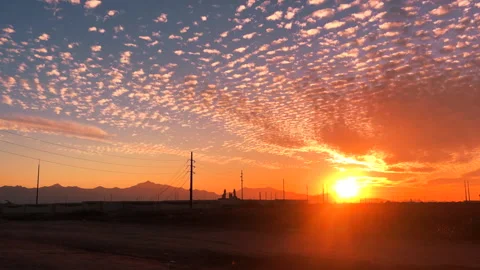 Untitled Project 2 Stock Footage 133533672