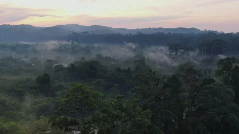 Untitled Project 9 Stock Footage 158653858