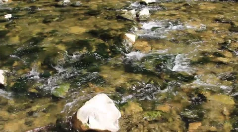 Untitled Project Video stock 49931401