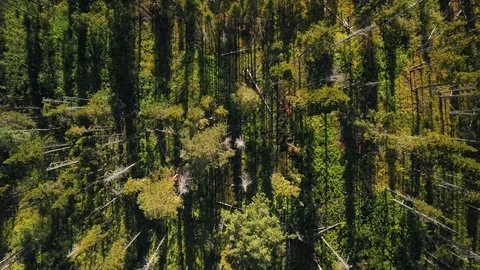 Untitled Project Stock Footage 105274980