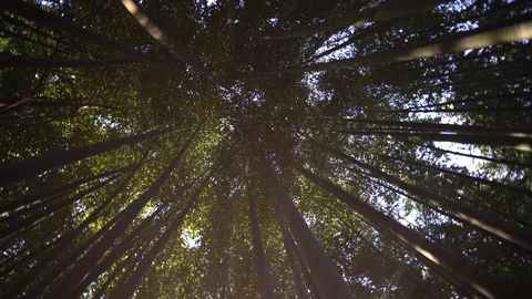 Untitled Project Stock Footage 108543730