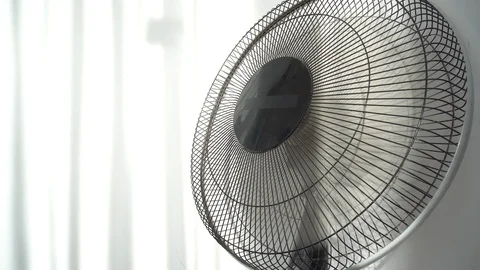 Untitled Project Stock Footage 109470413