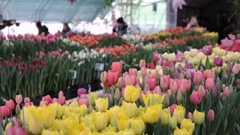 Untitled Project Video stock 125517370