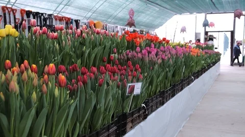 Untitled Project Video stock 125517392