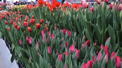 Untitled Project Video stock 125517394