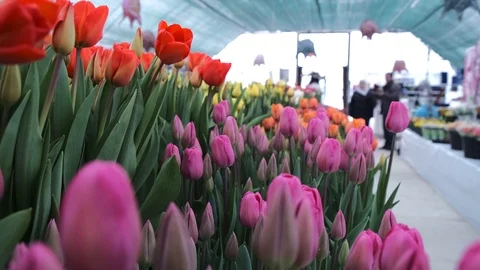 Untitled Project Video stock 125517402