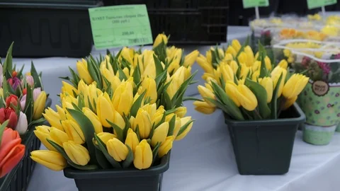 Untitled Project Video stock 125517436