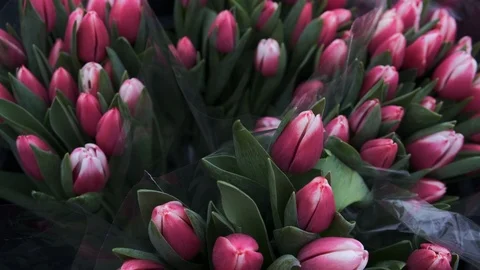 Untitled Project Video stock 125517446