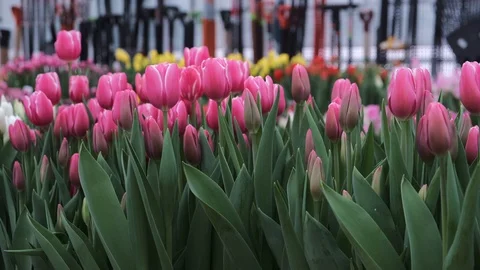 Untitled Project Video stock 125517453