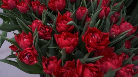 Untitled Project Video stock 125517496