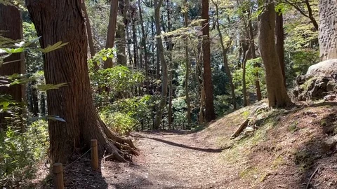 Untitled Project Video stock 130145132