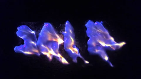 Untitled Project Stock Footage 162333009