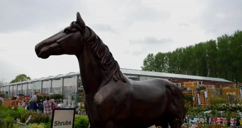 Untitled Project Видео 194497712