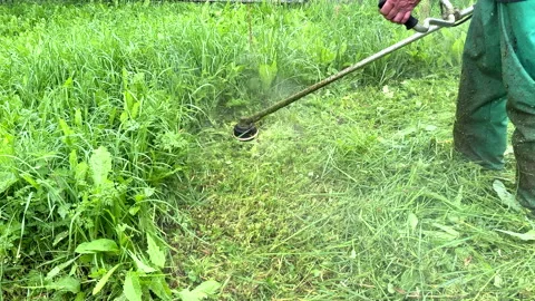 Untitled Project Stock Footage 251480308