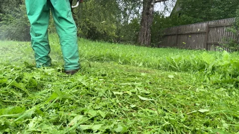 Untitled Project Stock Footage 251480421