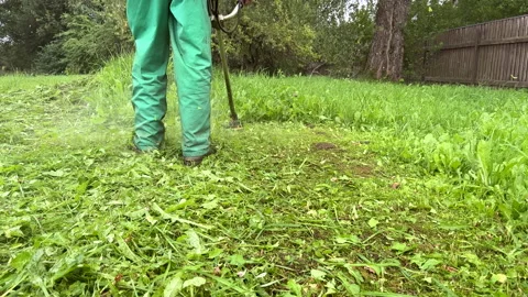 Untitled Project Stock Footage 251480504