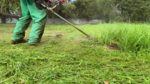 Untitled Project Stock Footage 251480593