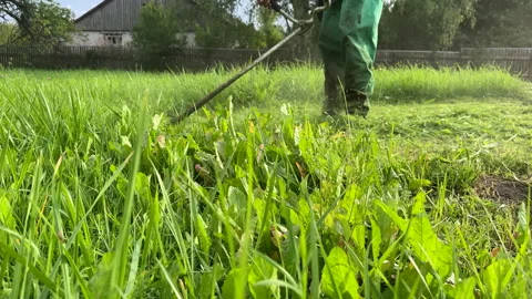 Untitled Project Stock Footage 251480643