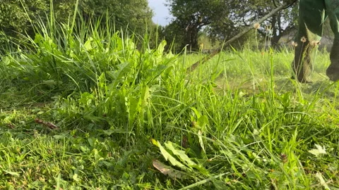 Untitled Project Stock Footage 251480669