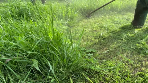 Untitled Project Stock Footage 251480780