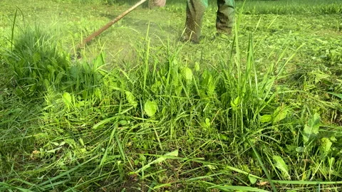 Untitled Project Stock Footage 251480795