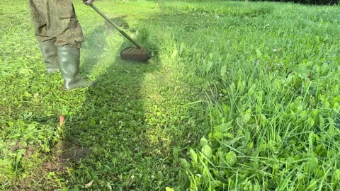 Untitled Project Stock Footage 251480831