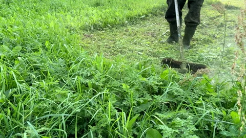 Untitled Project Stock Footage 251481091