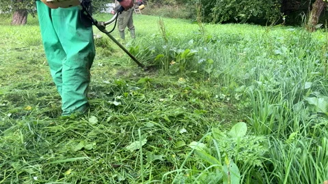 Untitled Project Stock Footage 251481119