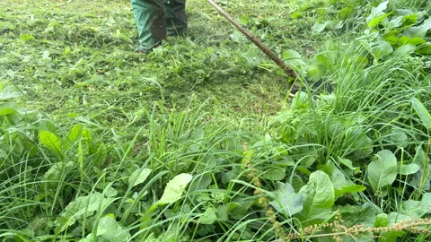 Untitled Project Stock Footage 251481247