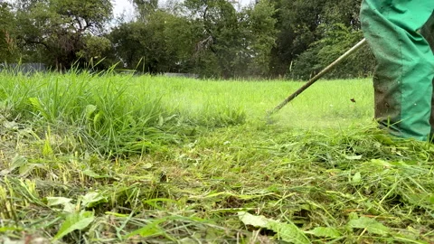 Untitled Project Stock Footage 251524288